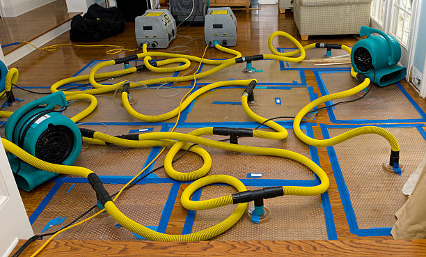 Professional Water Damage Restoration technician working in Doon, IA